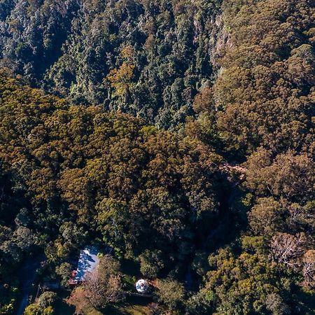 Purling Brook Falls Gwongorella Springbrook Zewnętrze zdjęcie