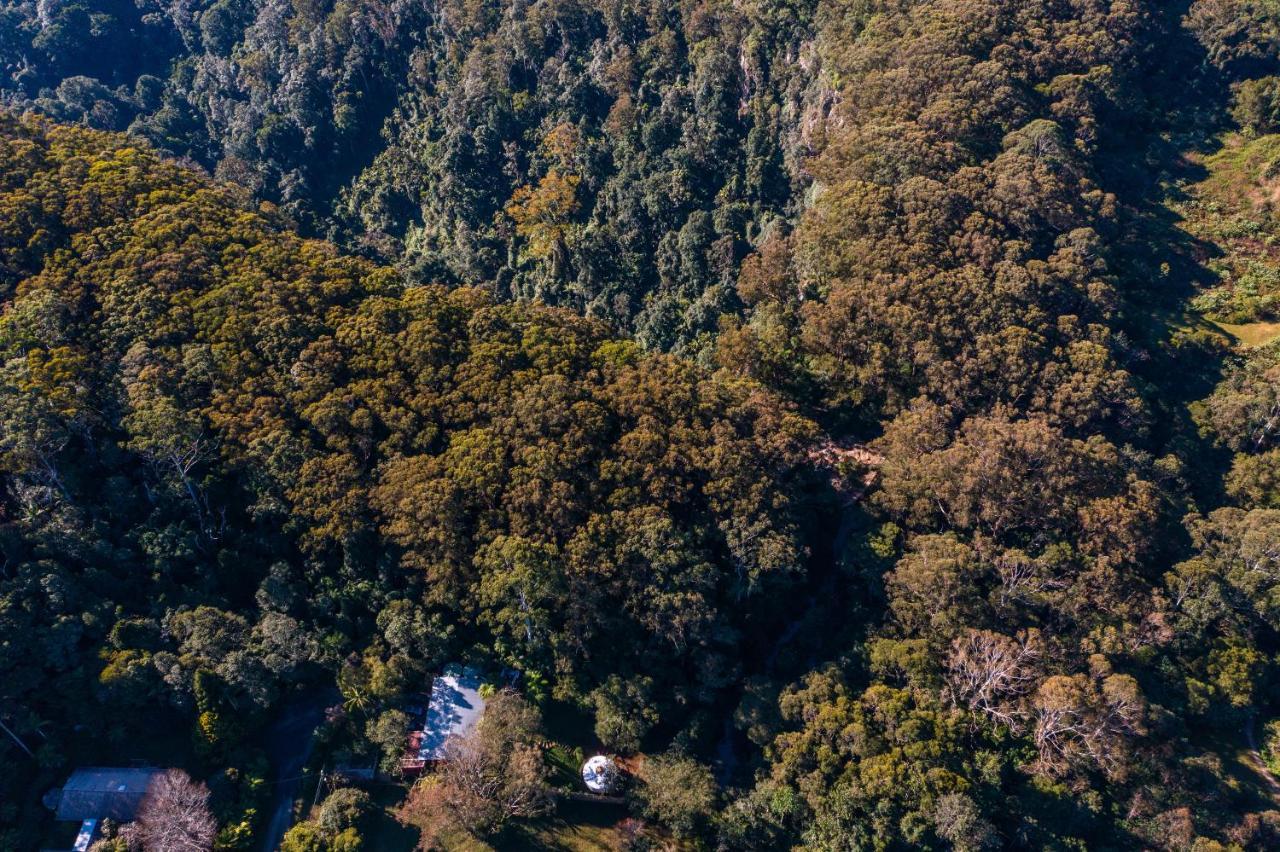 Purling Brook Falls Gwongorella Springbrook Zewnętrze zdjęcie