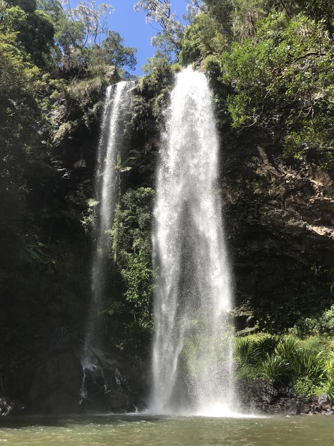 Purling Brook Falls Gwongorella Springbrook Zewnętrze zdjęcie