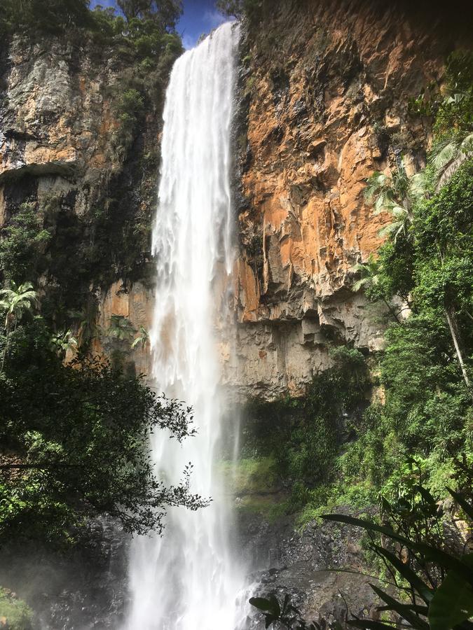 Purling Brook Falls Gwongorella Springbrook Zewnętrze zdjęcie